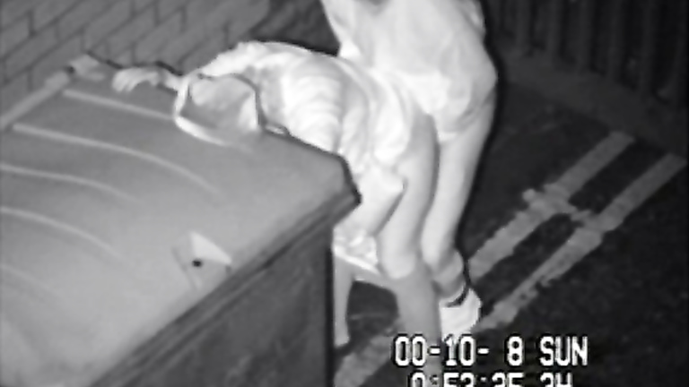 Security Cam Sex Scenes From A Dark Alley