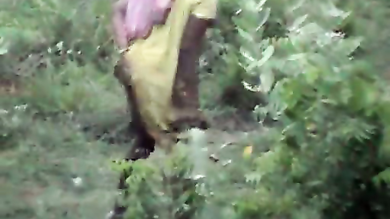Indian Ladies Pissing - Indian women pissing in the grass in voyeur video ...
